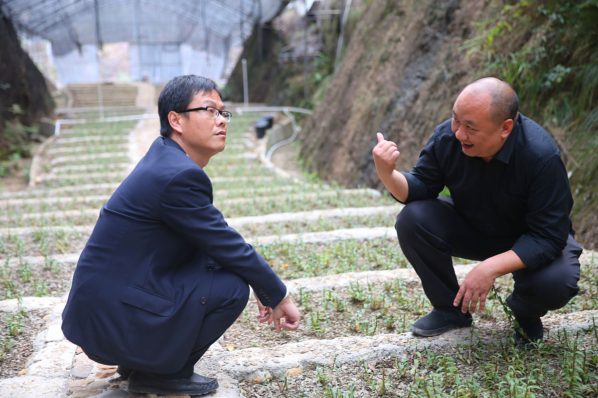 保山中医药高等专科学校中医学专业介绍 - 传承千年中医智慧