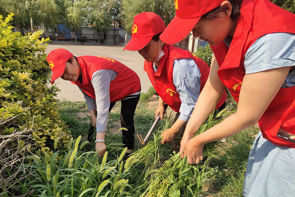 为高校教师写一篇幸福家美丽中国实践团暑期三下乡社会实践优秀指导老师申报写一篇 1500字的个人事迹