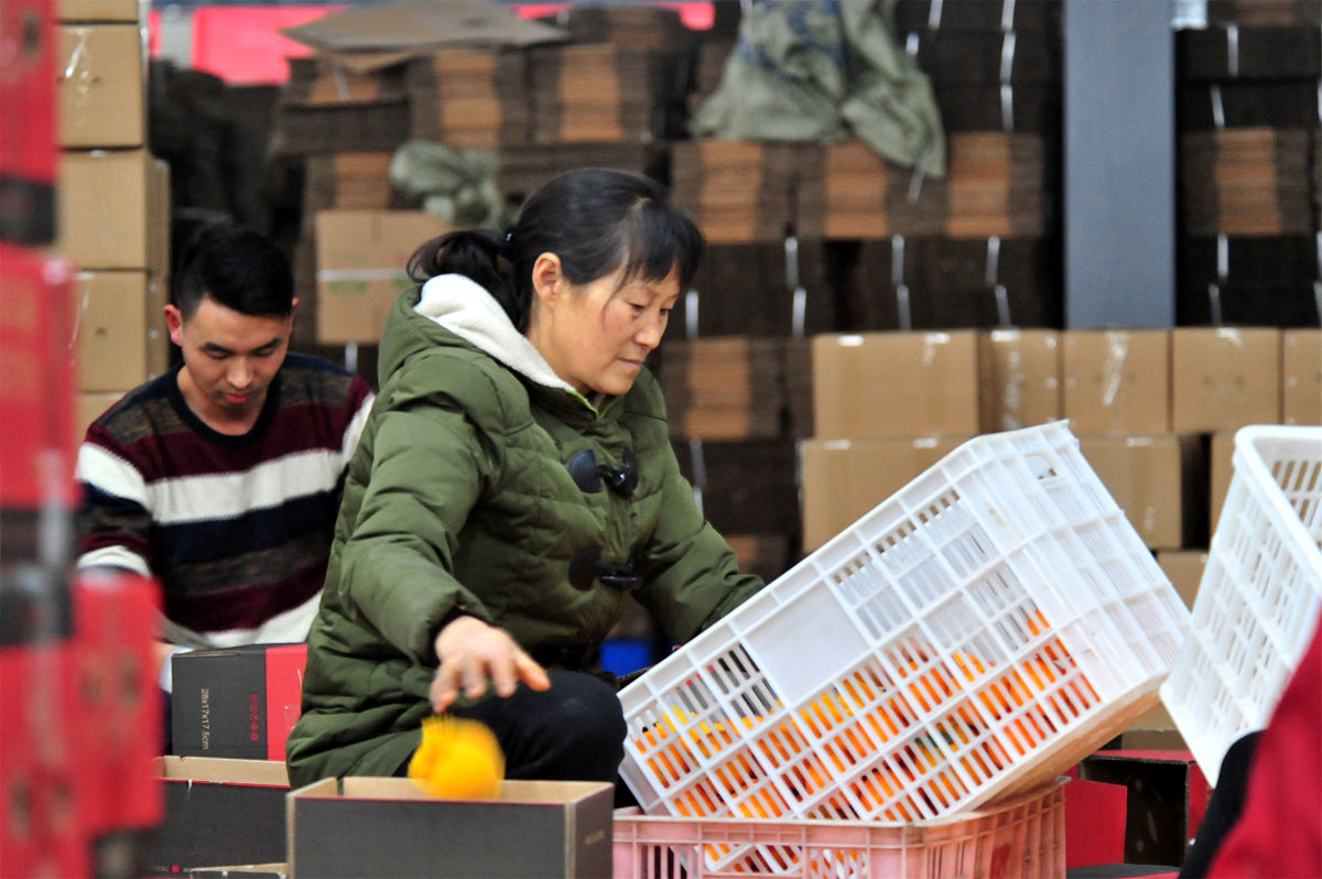 目前全国打包市场能保证年收入支出人员工资、材料支出就很不错了 你的价格太高这句话怎么写更好更全面