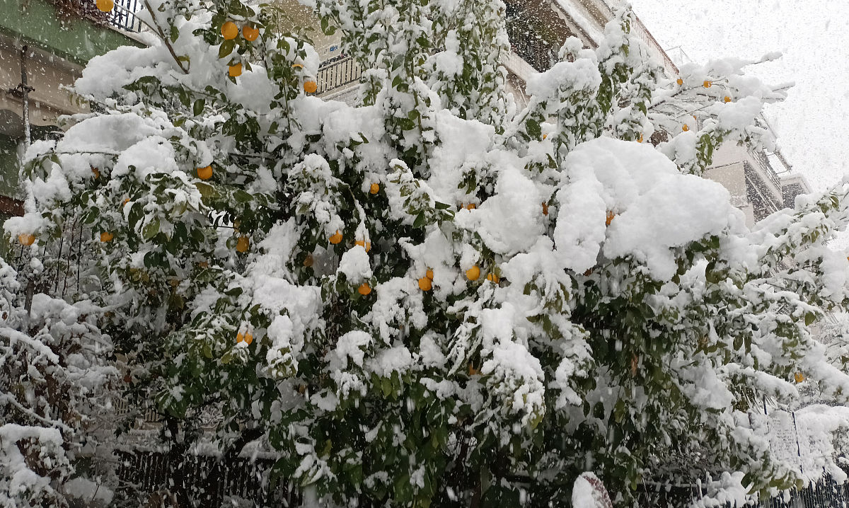 陕西省高教系统职业中等专业学校高级护理专业怎么样