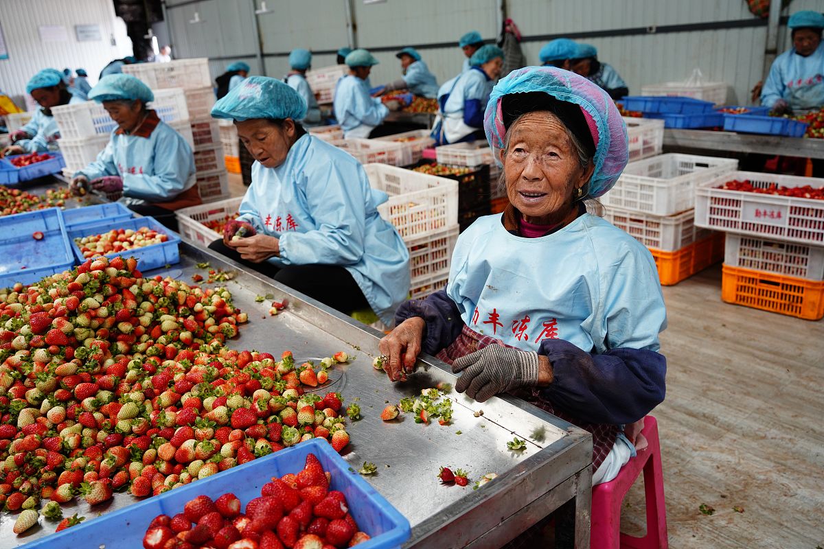 2023年云南卫校招生计划及报名指南