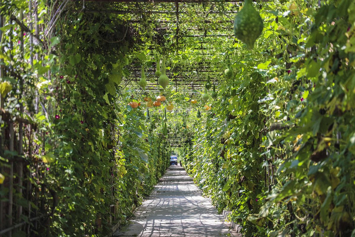 2023年甘肃女生中专学什么专业好？热门专业推荐