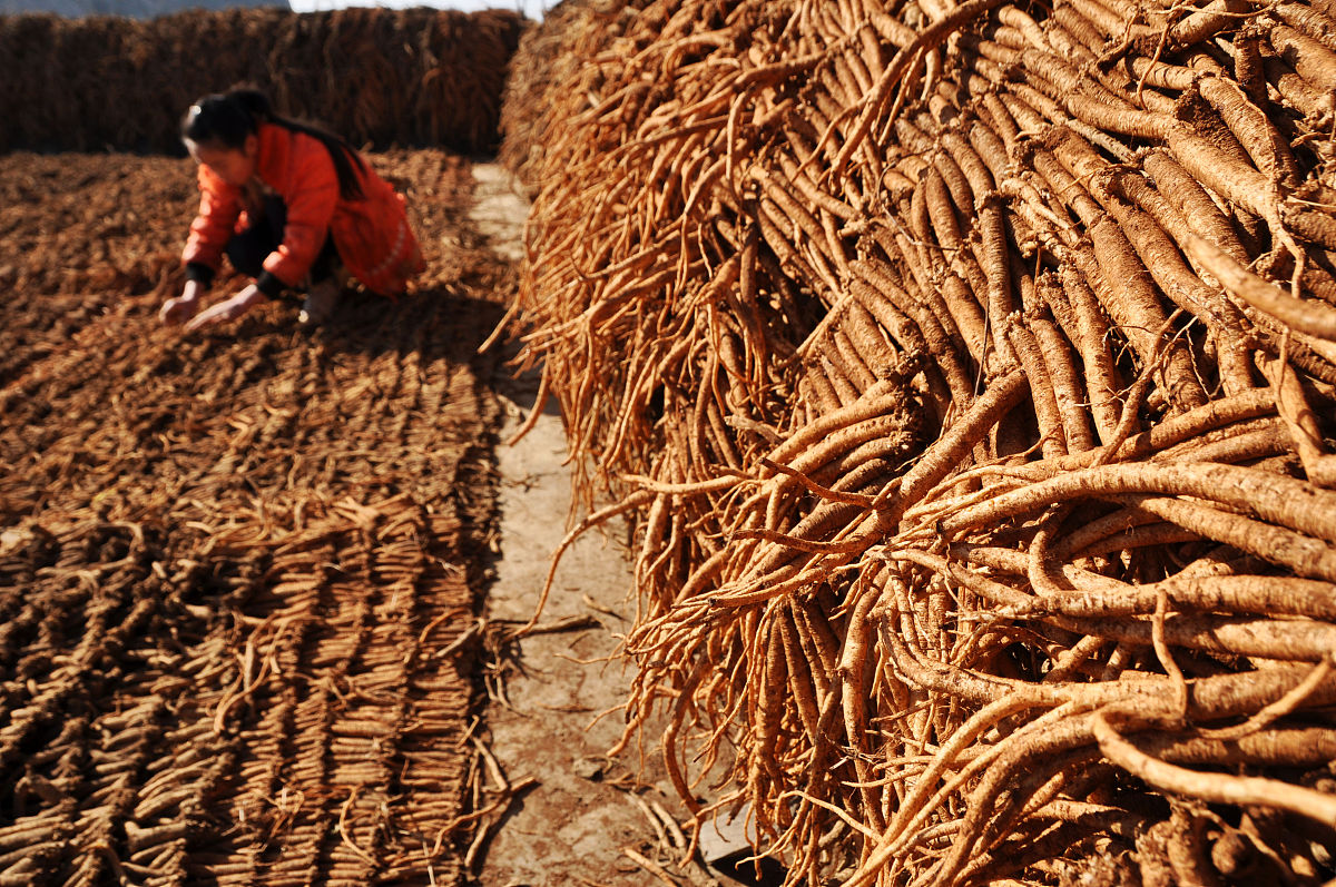 重庆三峡医药高专 中药生产与加工专业招生：培养高素质中药人才