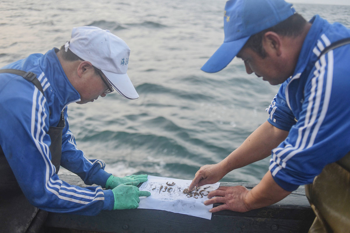 乡村振兴农村户厕摸排志愿服务活动实践报告2000字