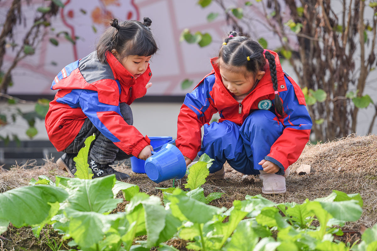 实践教学基地建设的问题和原因100字