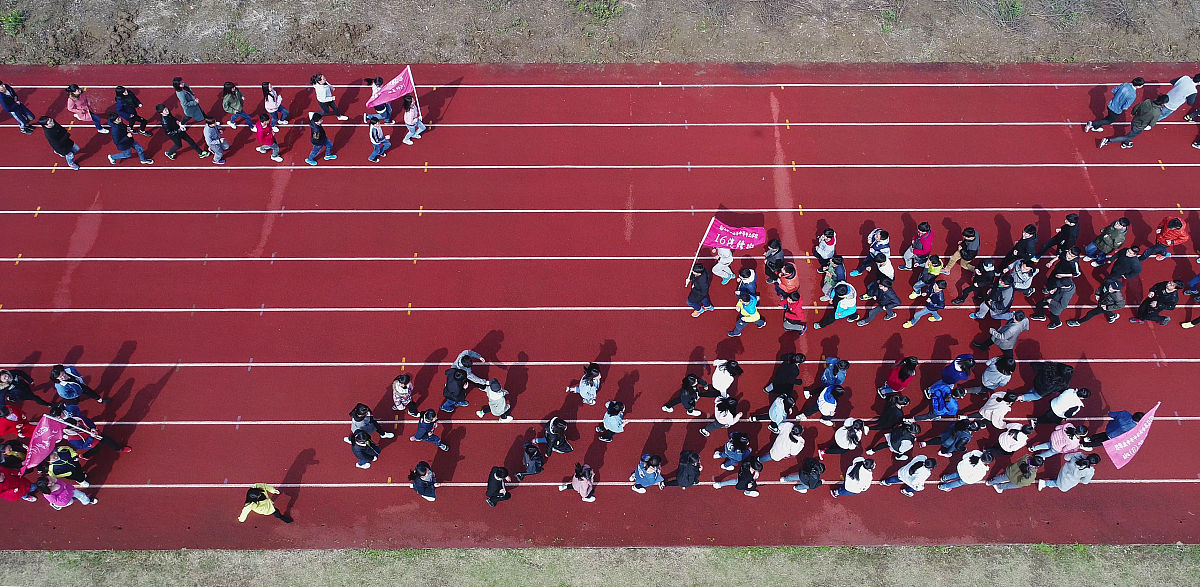 C语言高考招生录取信息管理系统数据字典