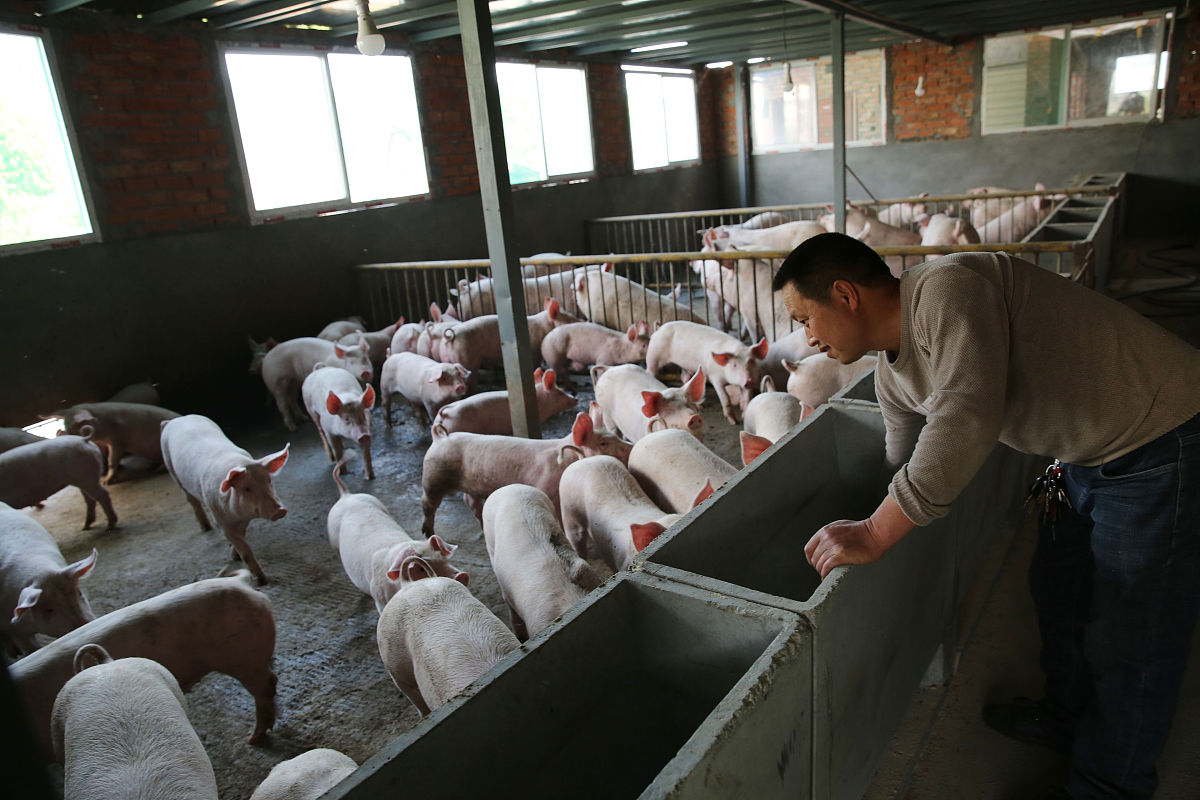 畜禽生产技术专业就业前景：养殖管理、设备研发、市场营销等领域