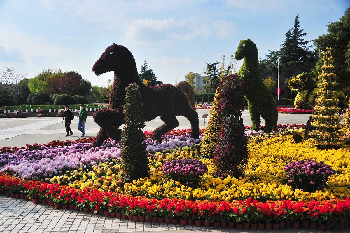 北京市信息管理学校怎么样？好不好？