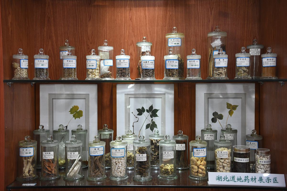 云南经贸外事职业学院药学专业就业前景怎么样