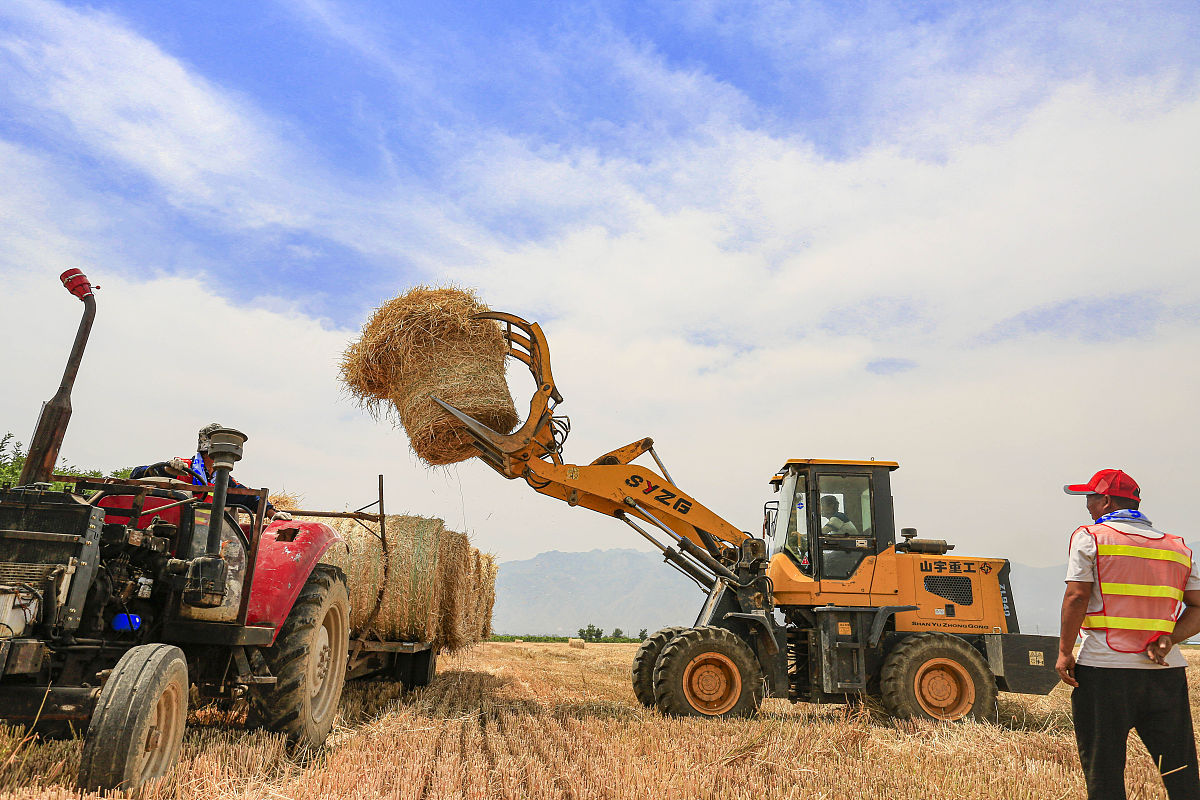 营口市农业工程学校2022年专业设置及招生简章