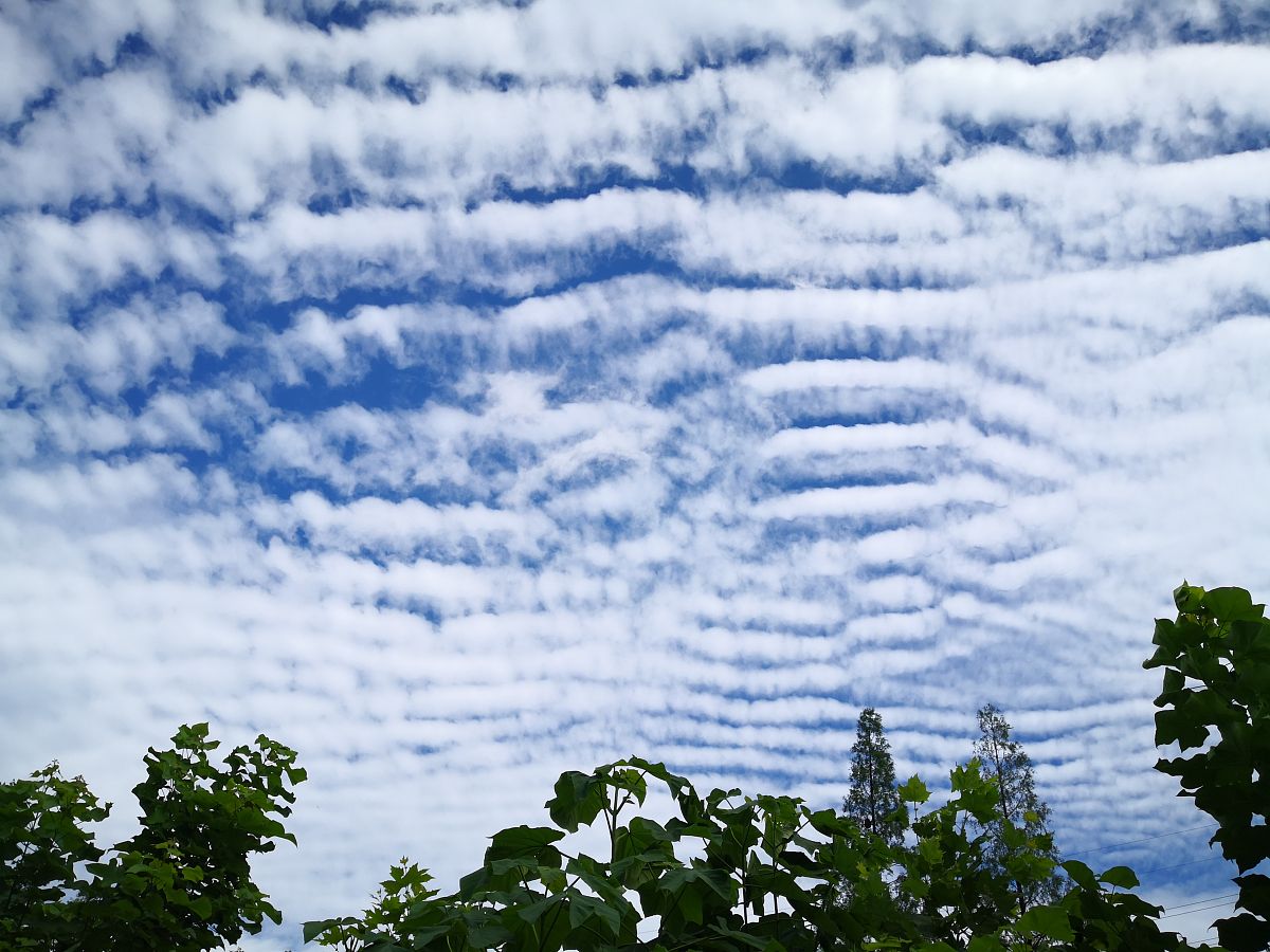 2020年6月29日,江苏省南京市,雨过天晴,天空出现条形纹状的白云,煞是