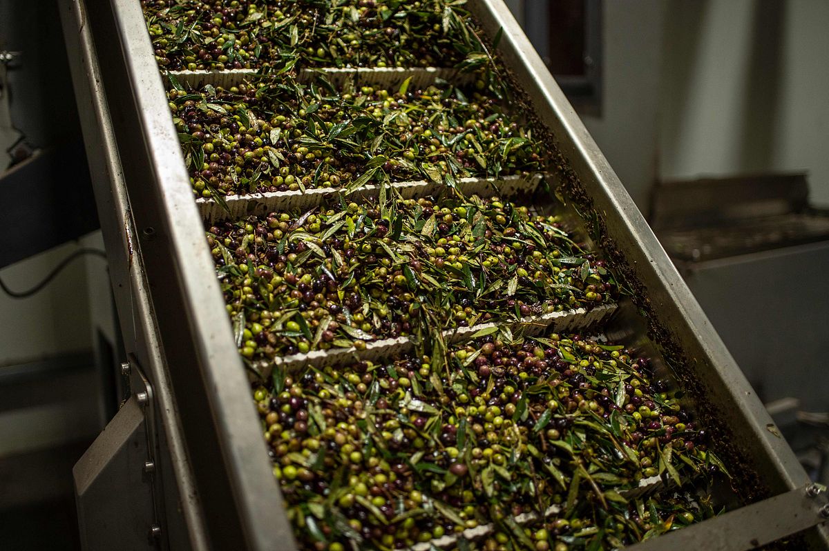 赌徒和正常人有什么区别