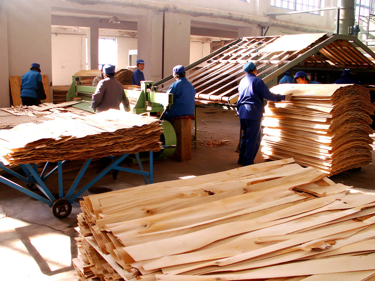 木材加工专业就业方向用发散性