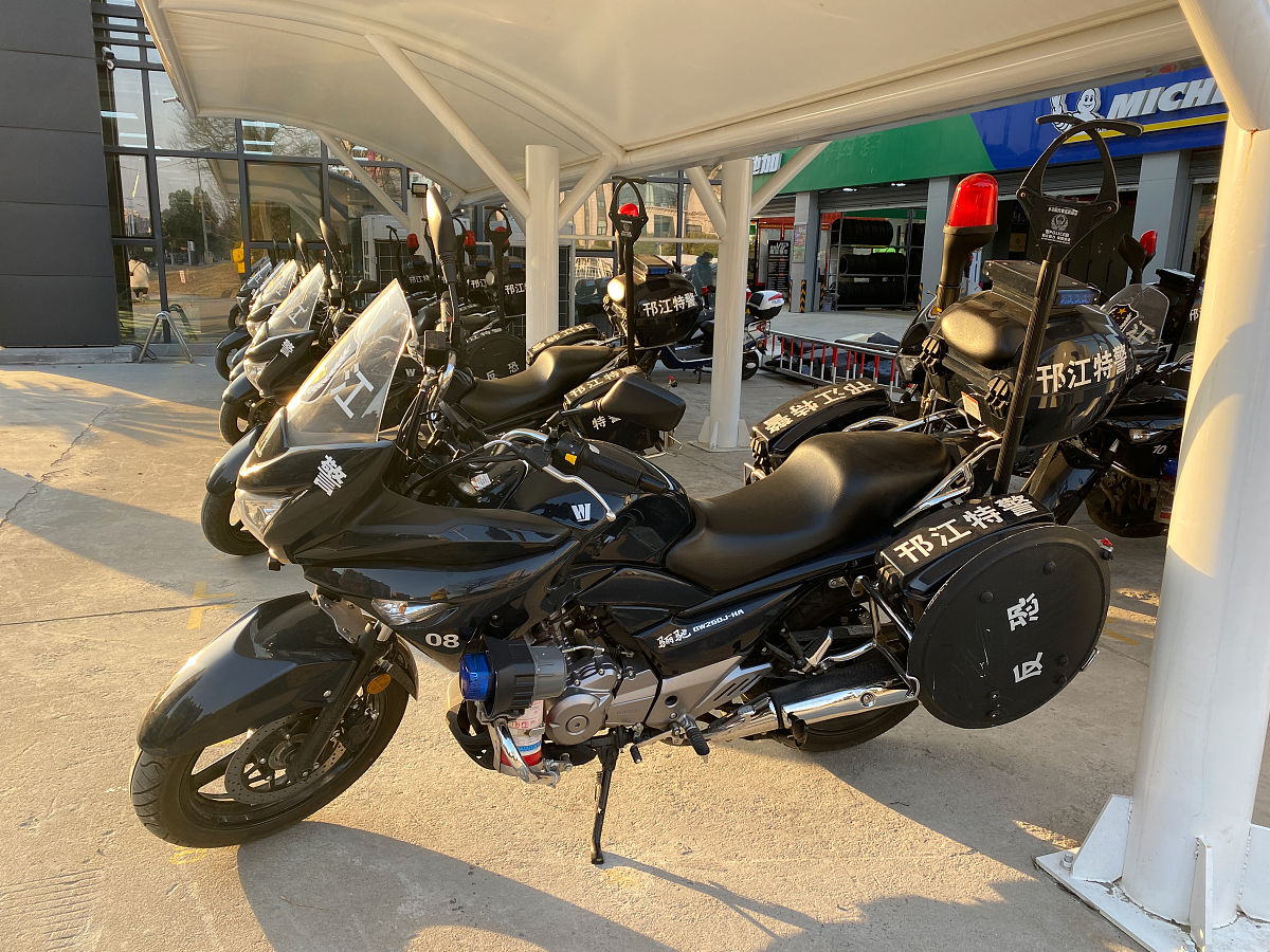 铃木DL250怎么样？