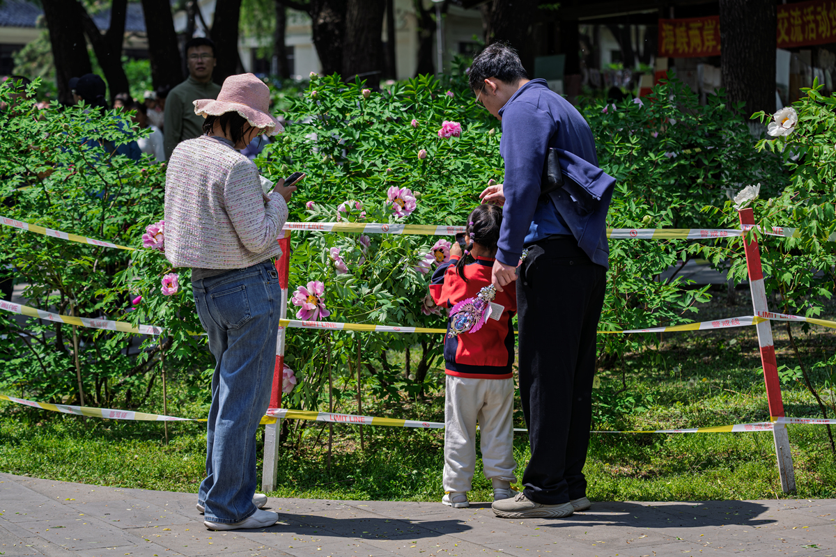 来小朋友巡逻叔叔先带你去安全的地方等下再送你回家找妈妈。续写下一句