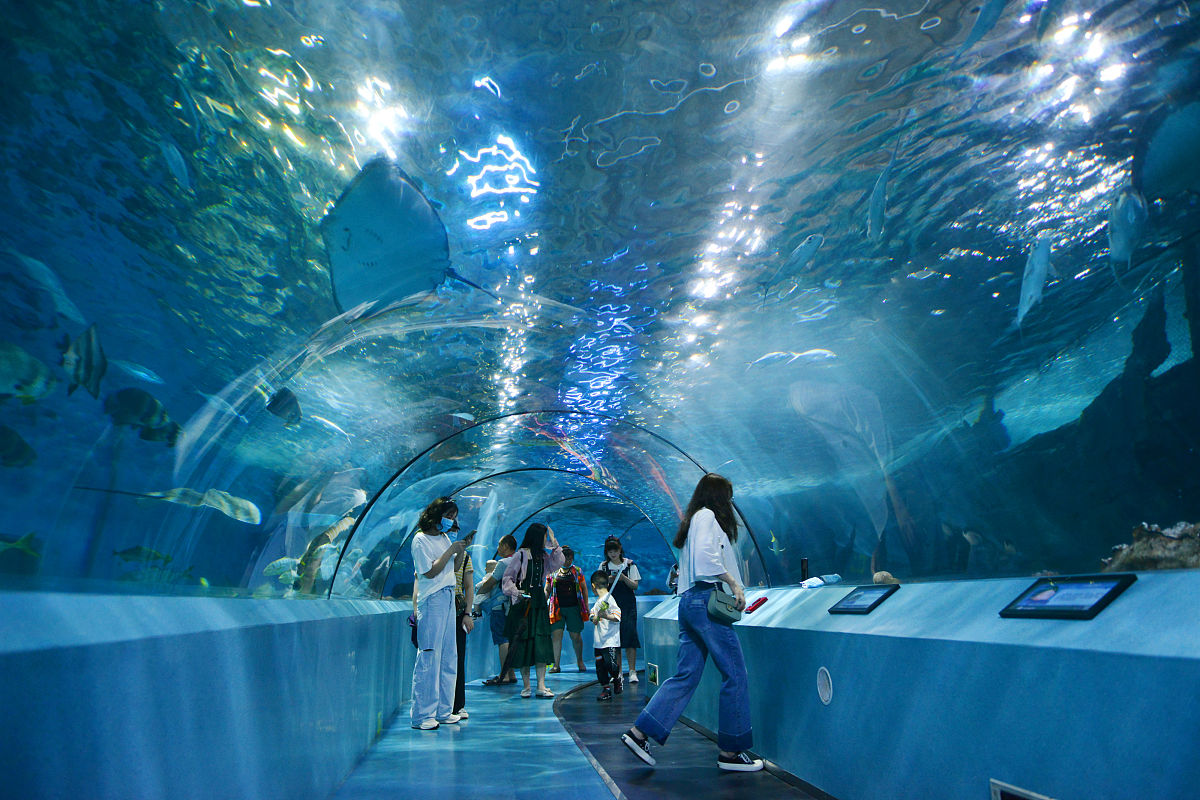 海洋科技如何与水产养殖和体验观光旅游结合