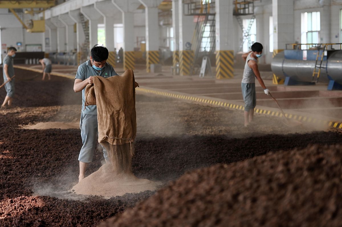 遵义南方白酒中等专业学校：毕业生就业前景解析