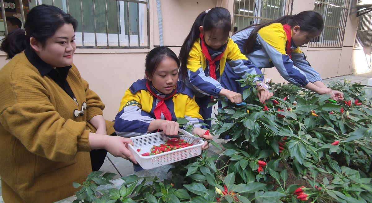 请写一段50字左右的做完各项劳动工作之后的劳动收获