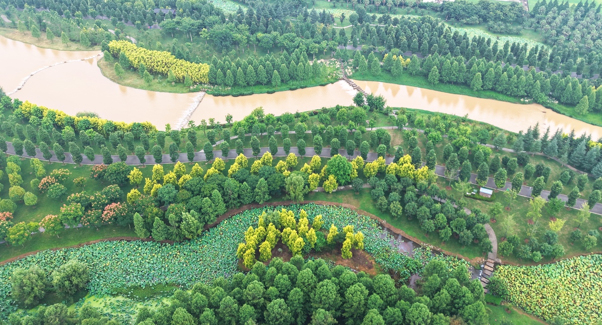 桥山林业人：生态文明建设的践行者和守护者