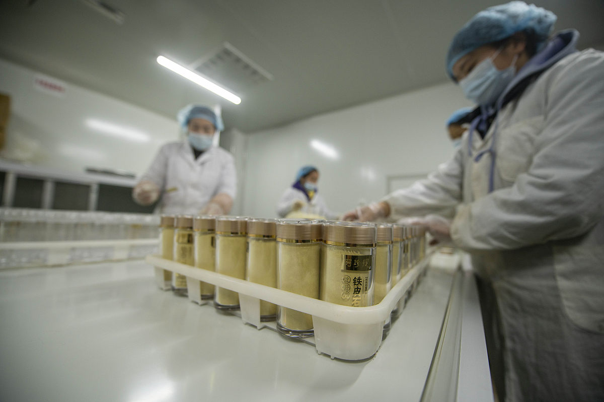 2022年1月6日,工人在贵州省从江县贯洞镇铁皮石斛产业园生产车间加工
