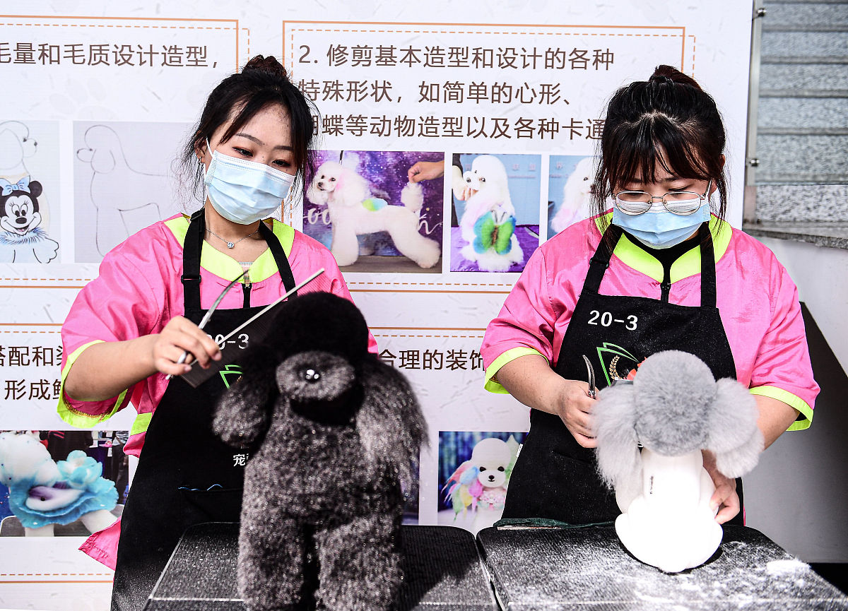 辽宁省交通高等专科学校会计专业好就业吗