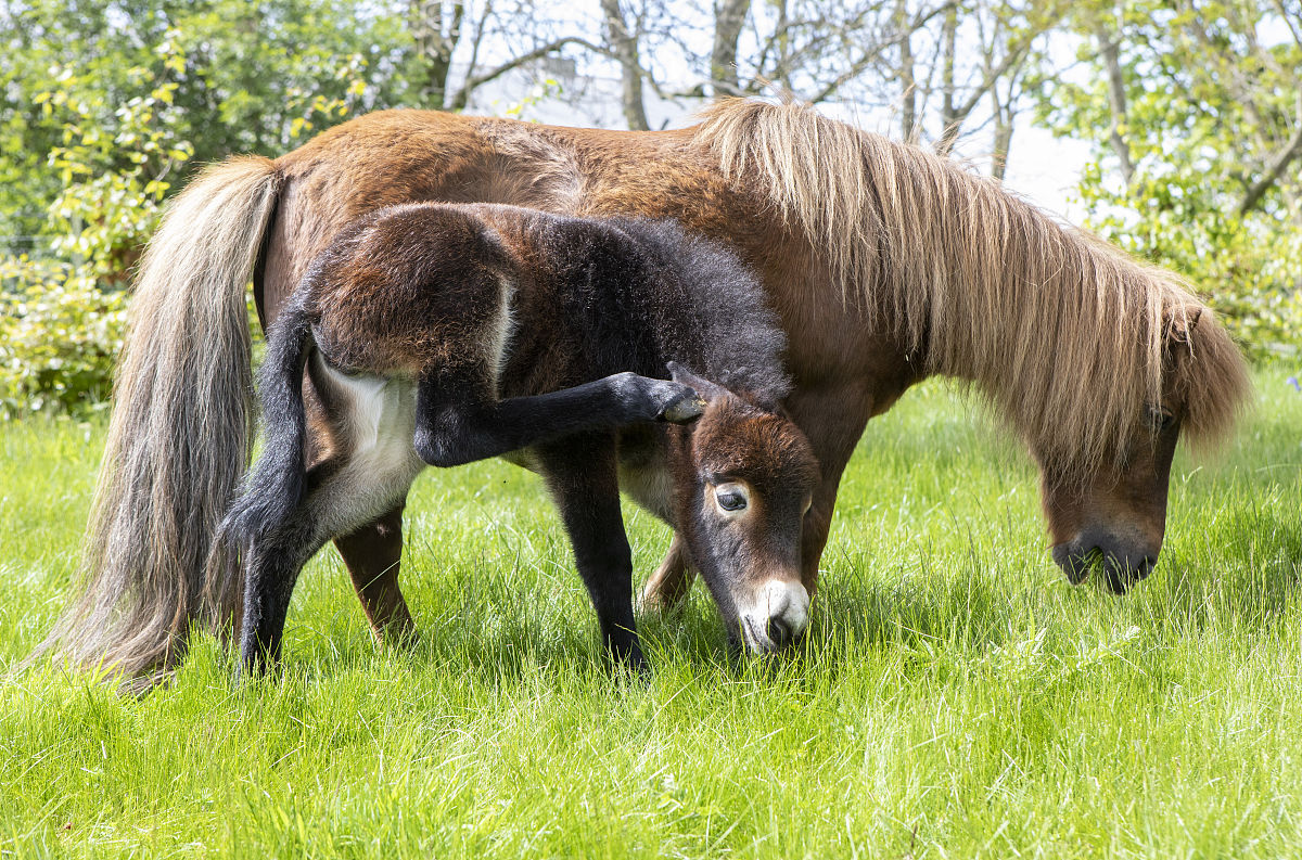 Mate 30 Pro vs 魅族 9 Pro：深度对比，哪个更适合你？