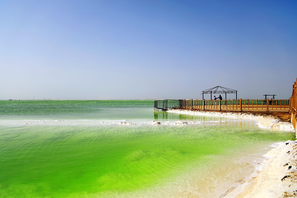 青海幼儿师范学校2022年招生简章 - 培养未来幼教人才的摇篮