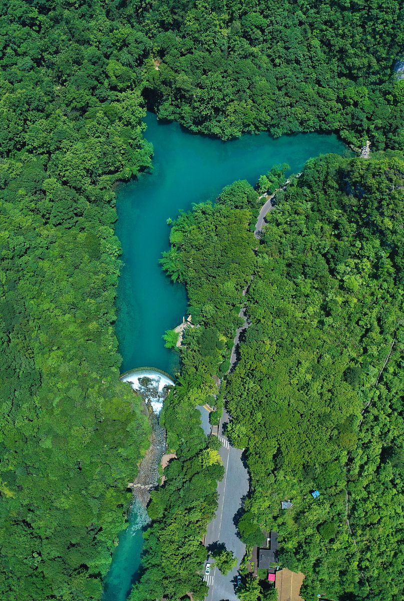 贵州省林业学校旅游外语专业就业前景如何