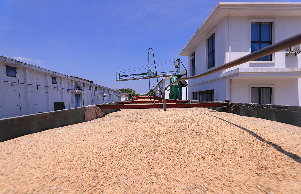 粮食储量监控：保障中国粮食安全的关键