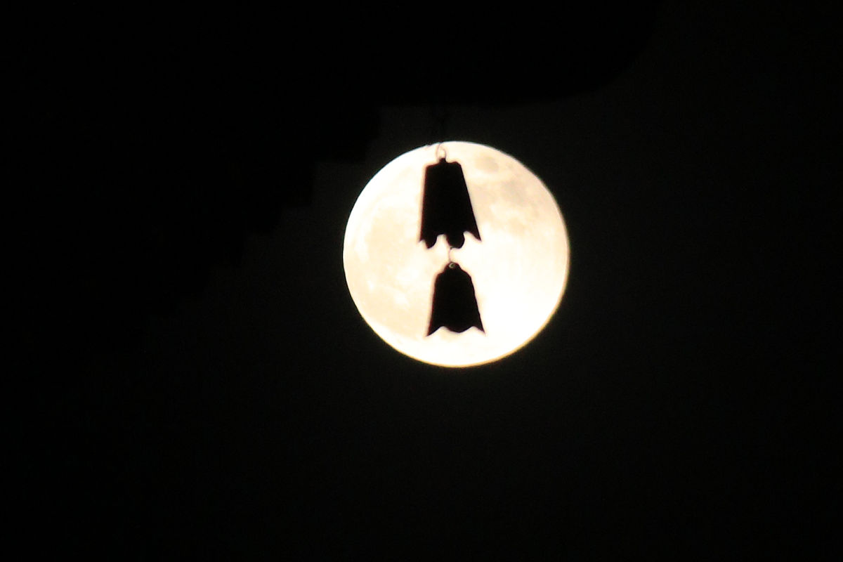 太原幼儿师范学校2021年招生简章