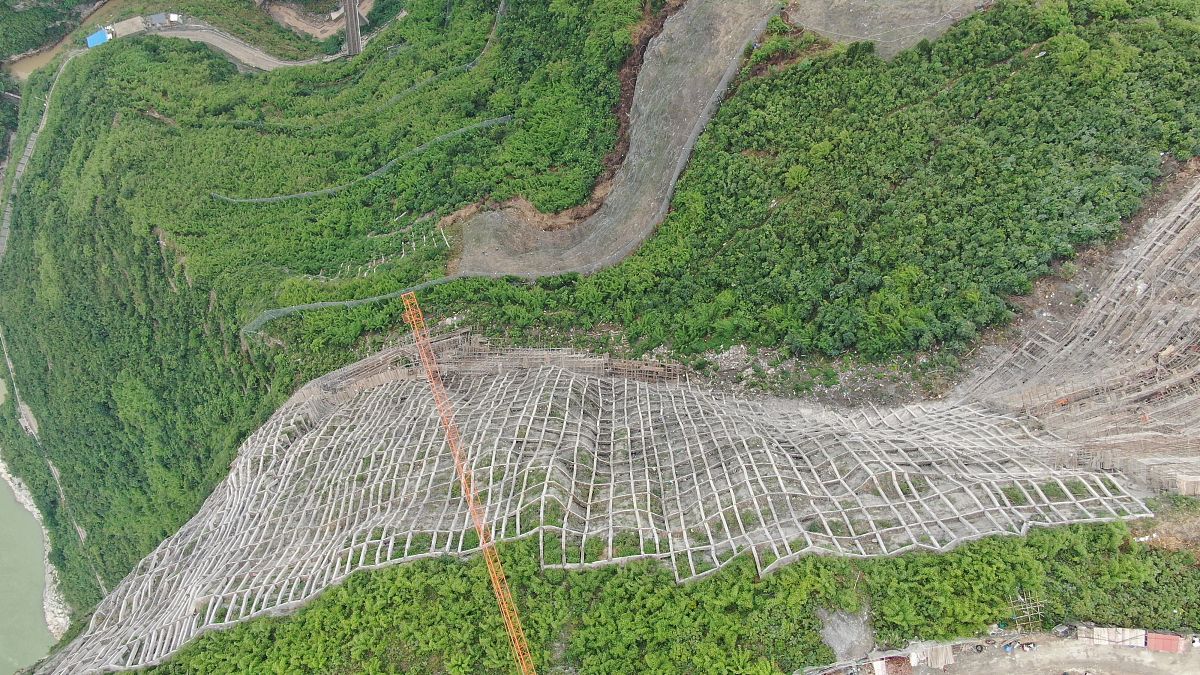 写一篇邹城市荒山绿化智慧监管系统的案例分析