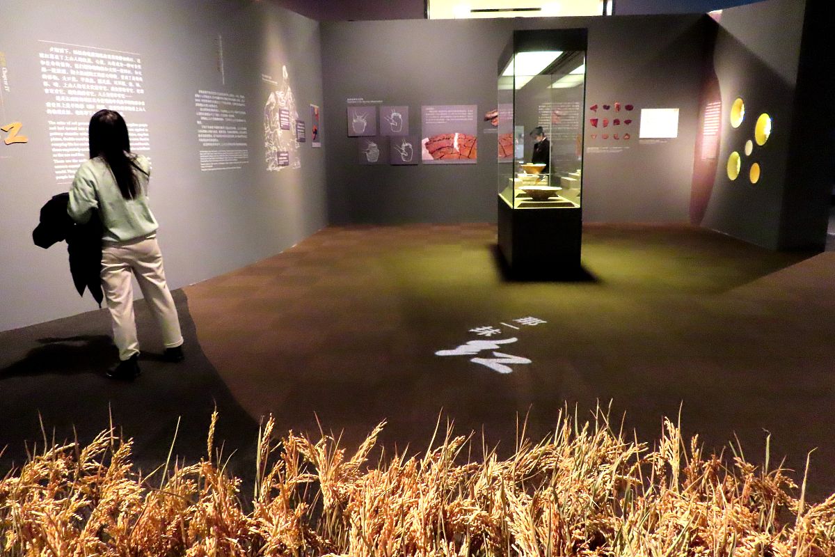 三练三创实践表现情况：提升能力，创造价值