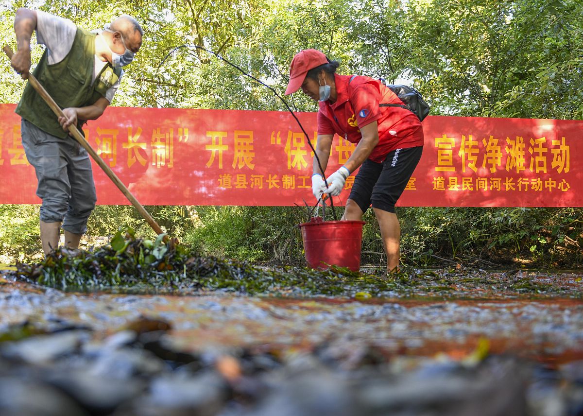 开展农村人居环境专项行动