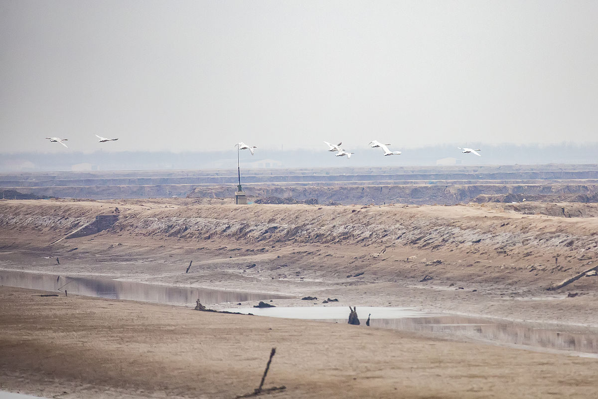 沾化会计学校铁道通讯信号招生要求：好不好？