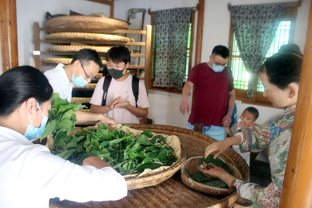 永德县职业教育中心2022年招生：茶叶生产与加工专业火热报名中！