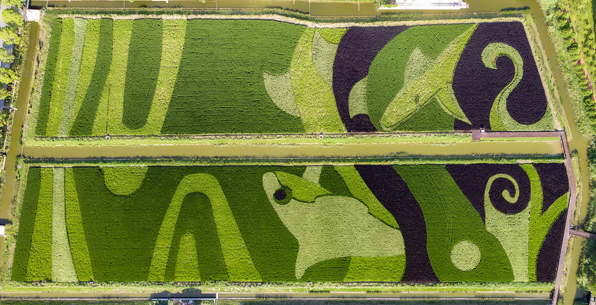 新中国成立74周年：伟大成就与宝贵经验