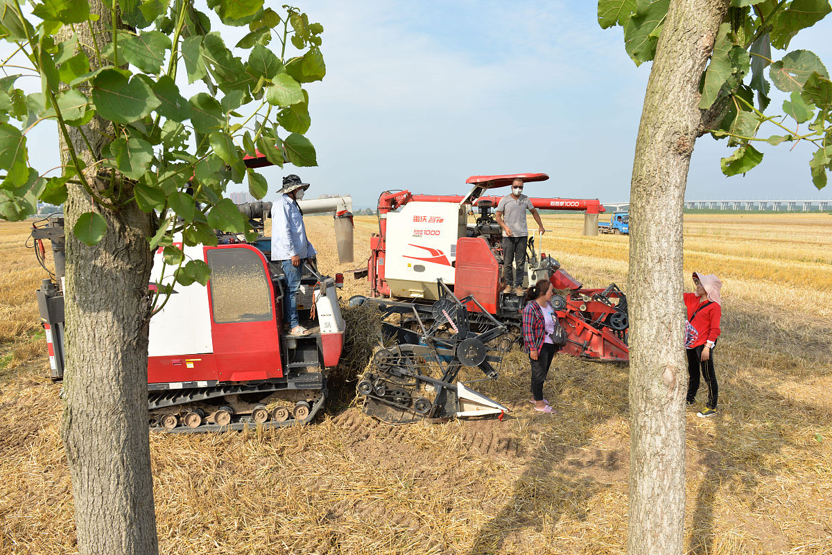 黄州理工中专2023年有哪些专业？