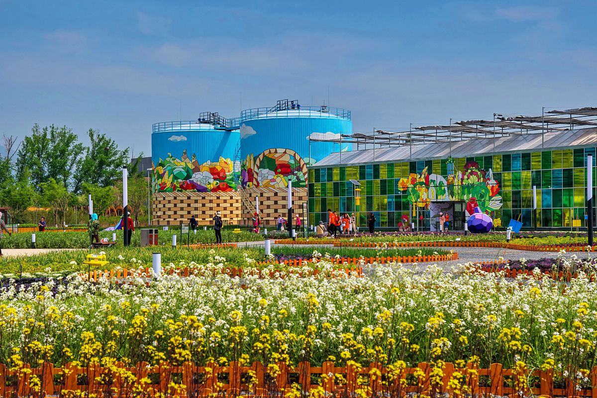 仙螺岛景区--集发农业王国--渔岛-环海公路-老虎石-东二路-野生动物园-秦皇小巷-西岗花园-山海关-老龙头