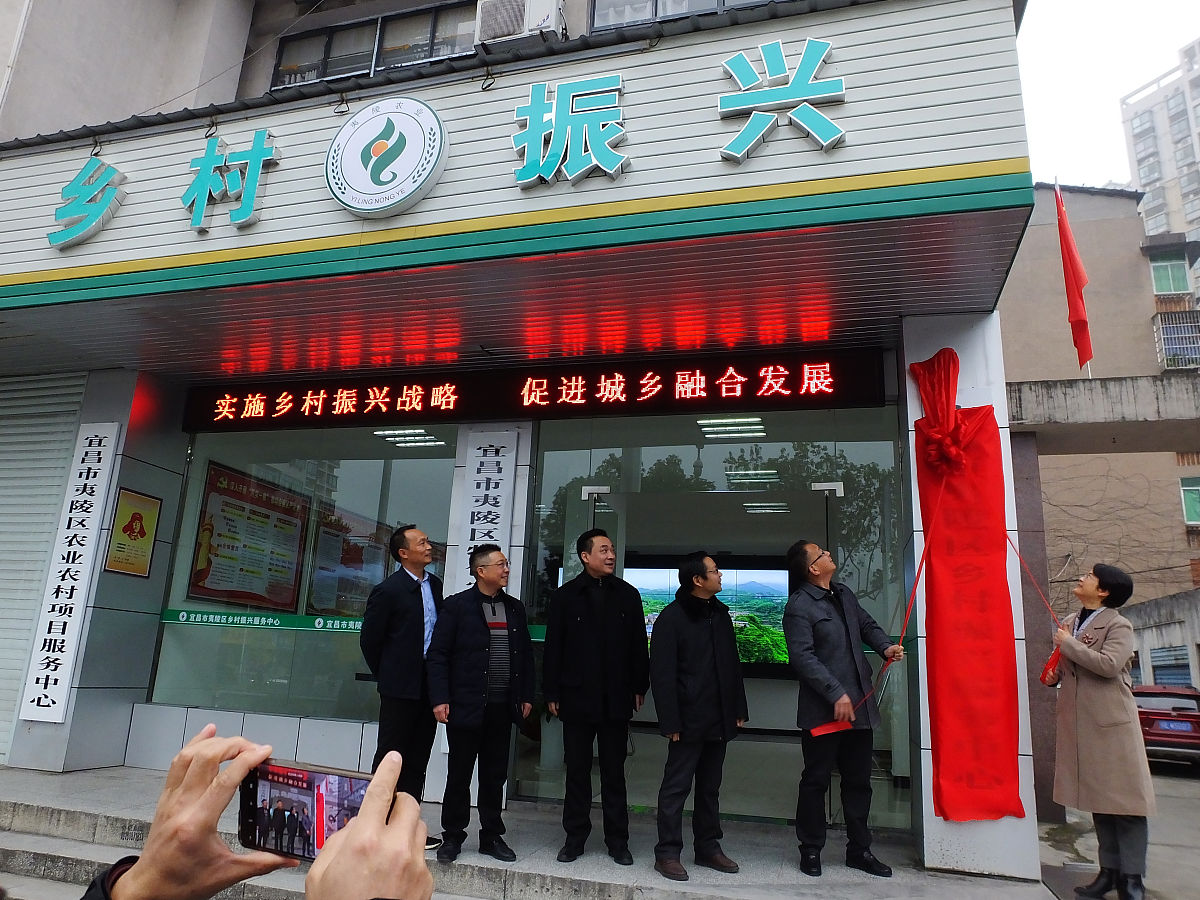 本科论文《关于河南省陈村的农村公共文化服务优化路径研究》