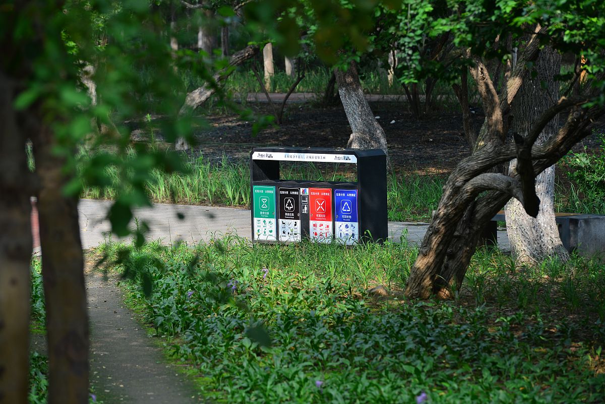 农村垃圾分类、环境整治和道路排水沟修建总结 - 改善农村环境，提升生活质量