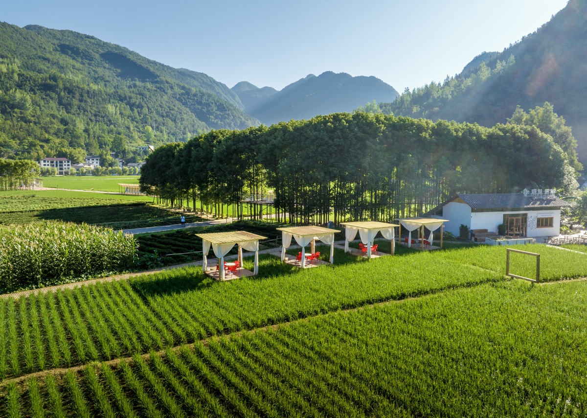 优化以农业为基础以文化为灵魂以旅游为手段以康养和安居为目的 句子