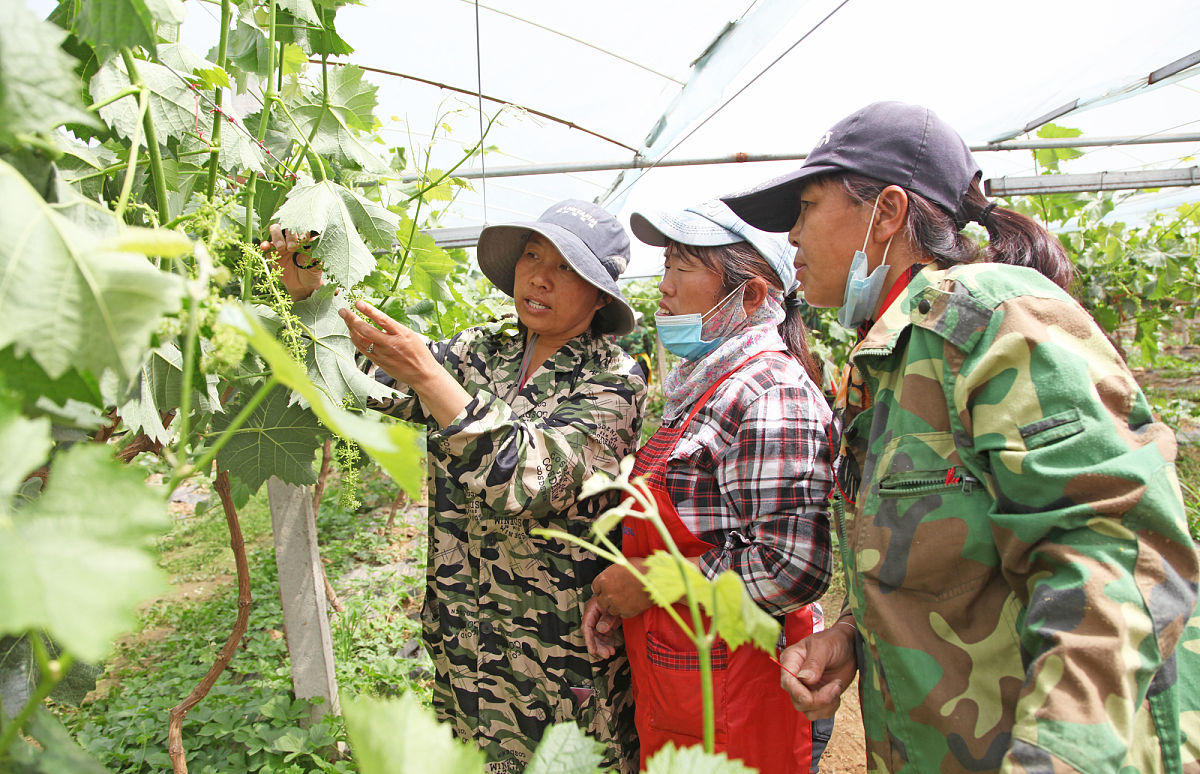 红河州农业学校 - 云南农业人才培养的摇篮