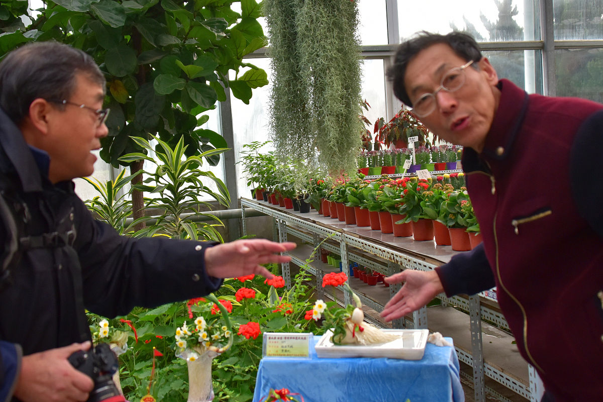 化解紧张气氛的古老技巧：种族天赋的展现