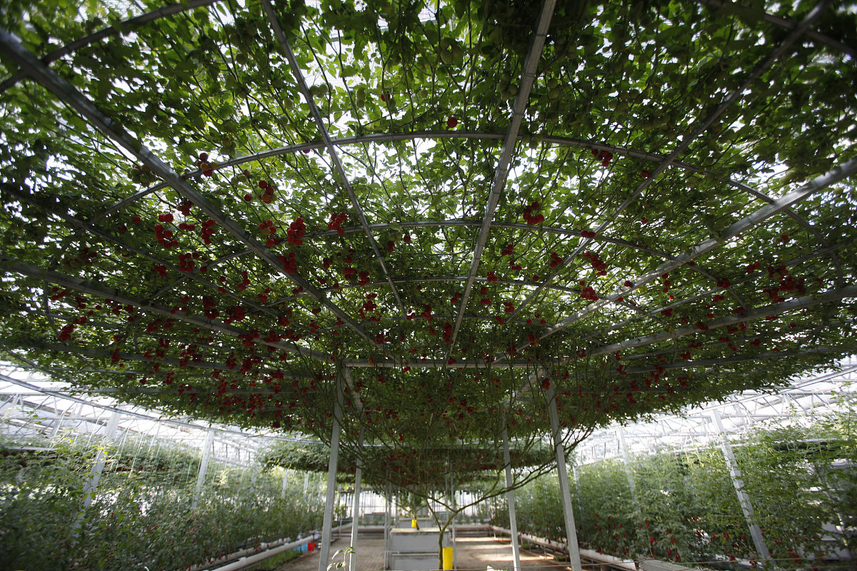 潍坊科技职业学院中专部专业设置：培养技术技能型人才