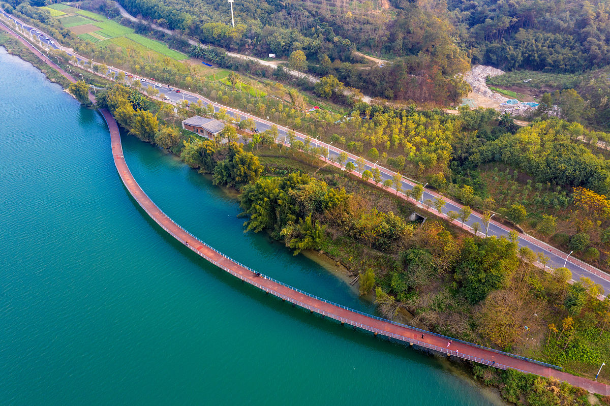 2020年柳州小学报名时间公布，在线报名方法及流程详解