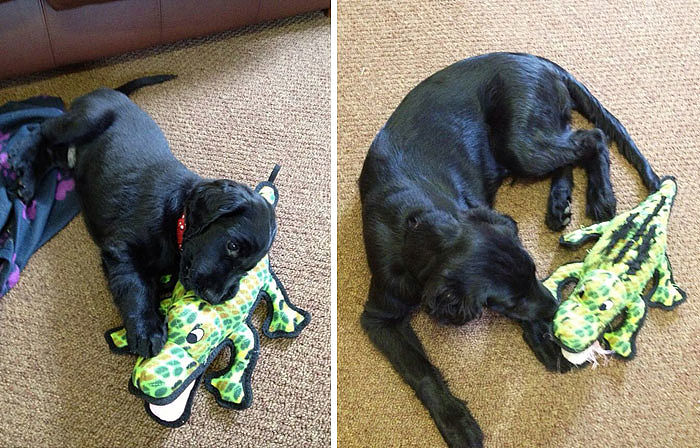 传承与担当：在浙江大学追寻人生价值，承担时代使命