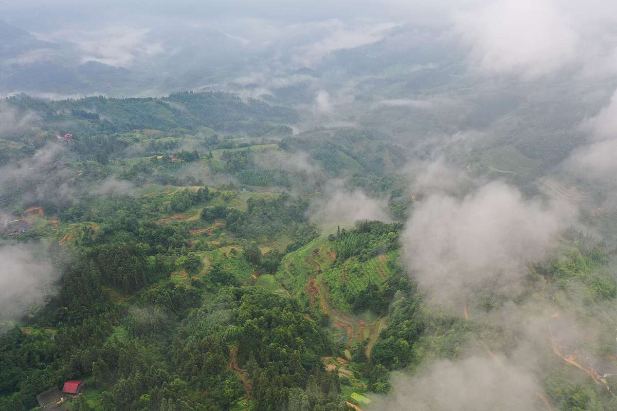 贵州黔东南乡村振兴：职业教育面临的挑战与解决方案