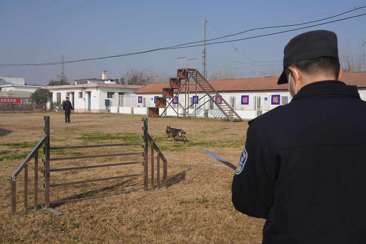 党建工作指导员考核程序