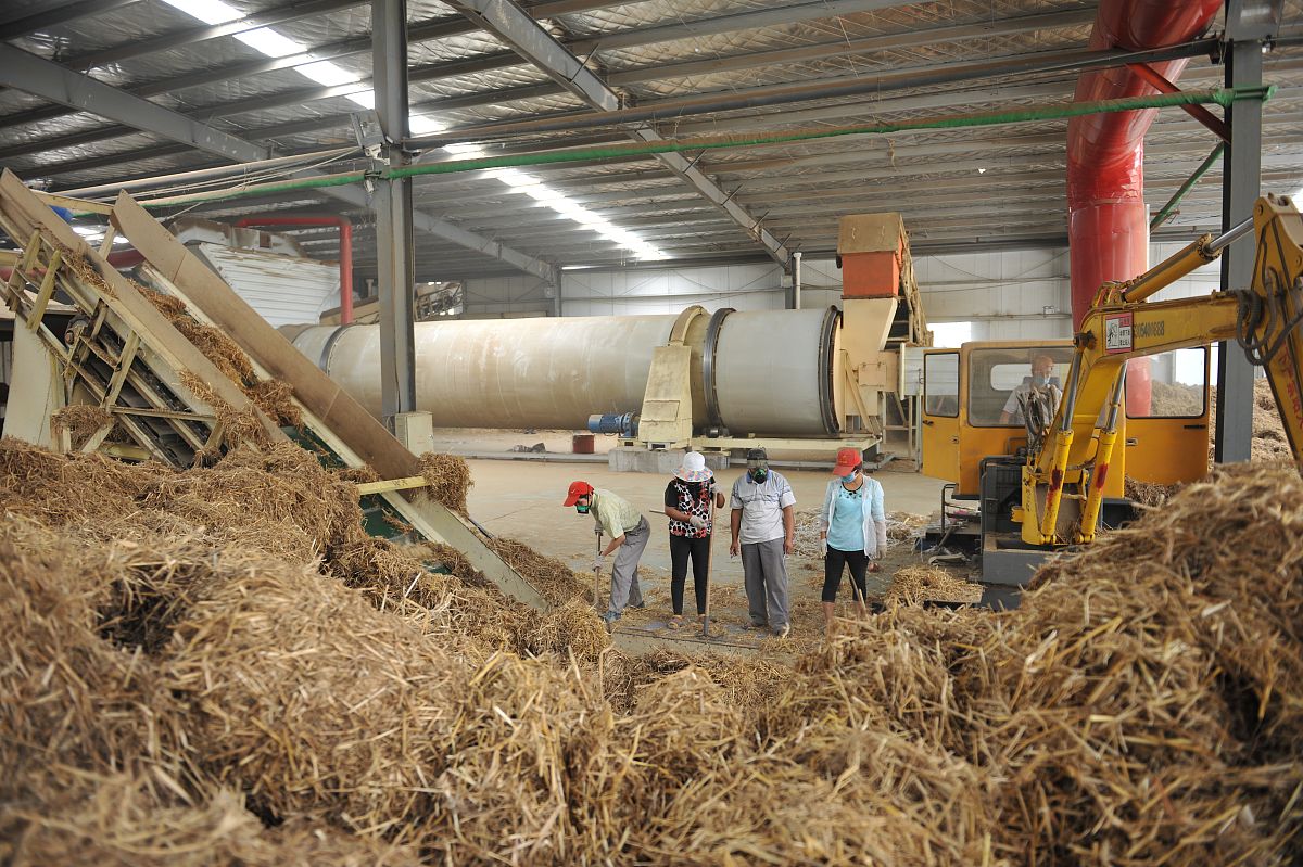 安徽滁州明光市的25万吨酶解法秸秆综合分离项目进展程度