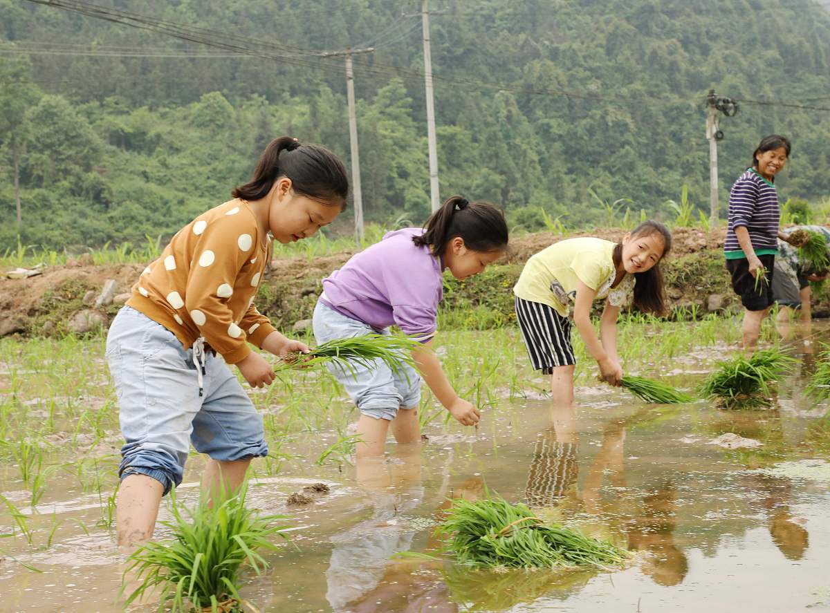 回到老家干农活的劳动日记